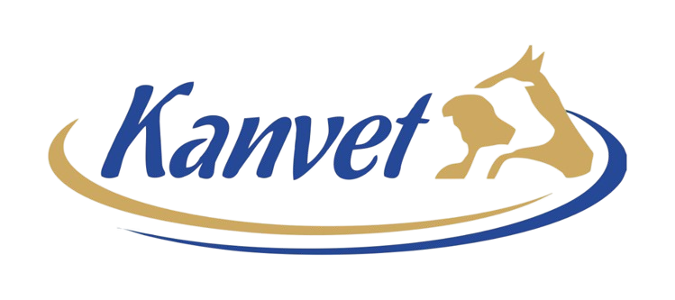 Kanvet